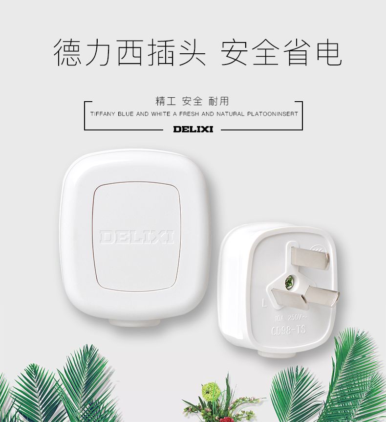 德力西插頭 兩插10A插頭 德力西電源插頭2插10A 正品德力西兩腳插頭