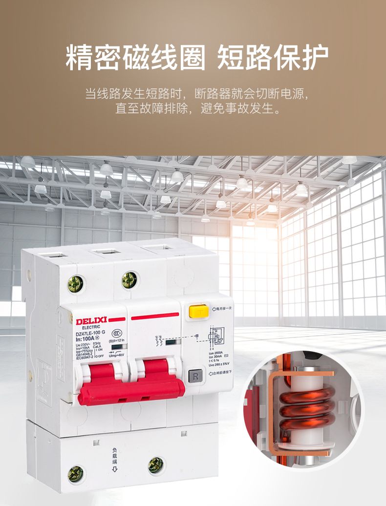 德力西大功率漏電開關DZ47LE 2P-100A/125A D型漏電斷路器 兩相大功率漏電保護器 2極漏電開關