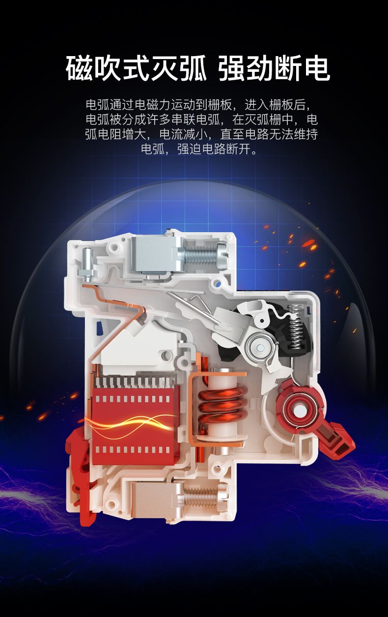 德力西大功率漏電開關DZ47LE 2P-100A/125A D型漏電斷路器 兩相大功率漏電保護器 2極漏電開關