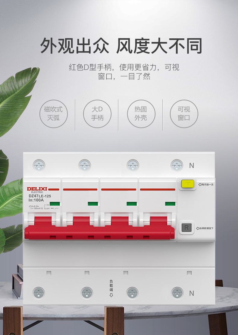 德力西大功率漏電開關DZ47LE 2P-100A/125A D型漏電斷路器 兩相大功率漏電保護器 2極漏電開關